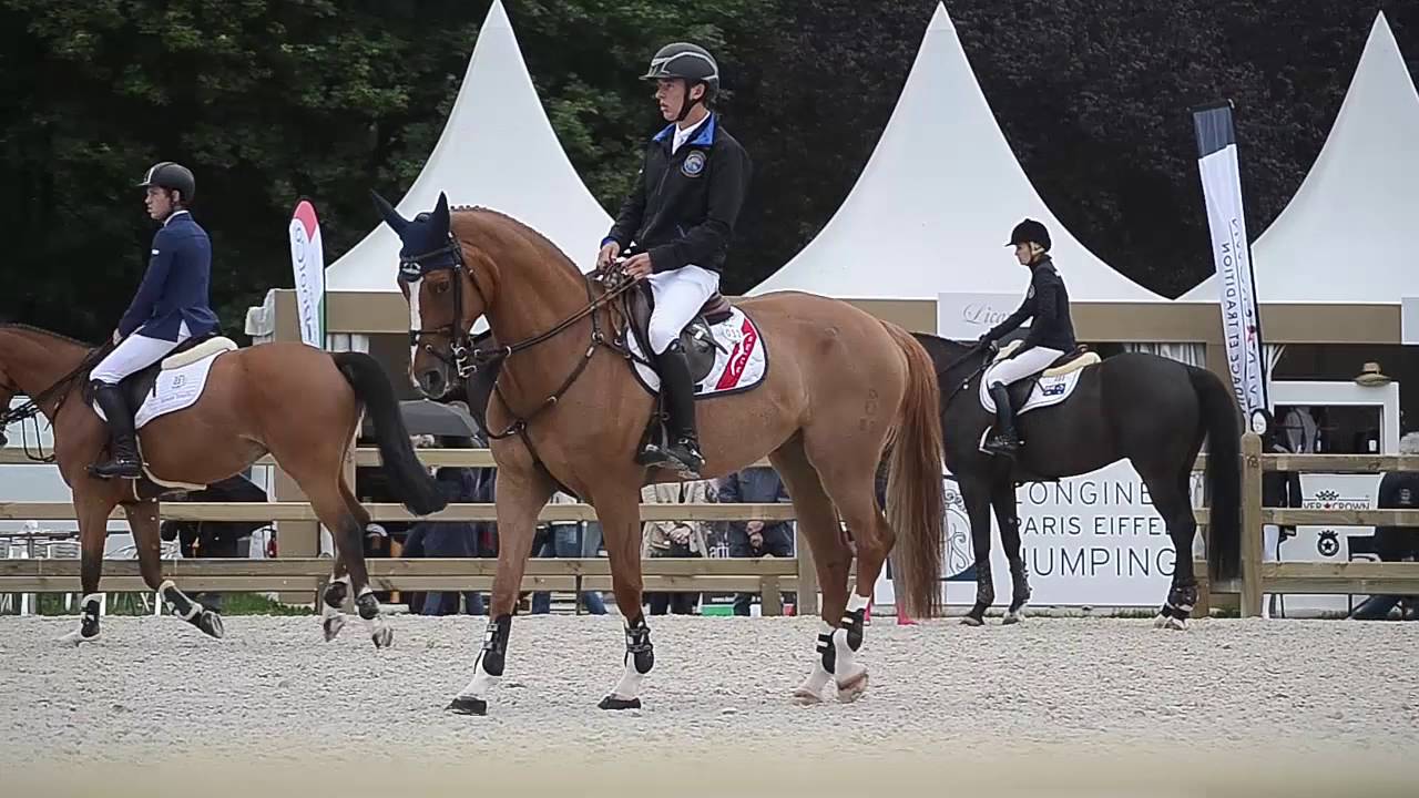 Bertram Allen [Quiet Easy 4] - Paddock, Paris Eiffel Jumping