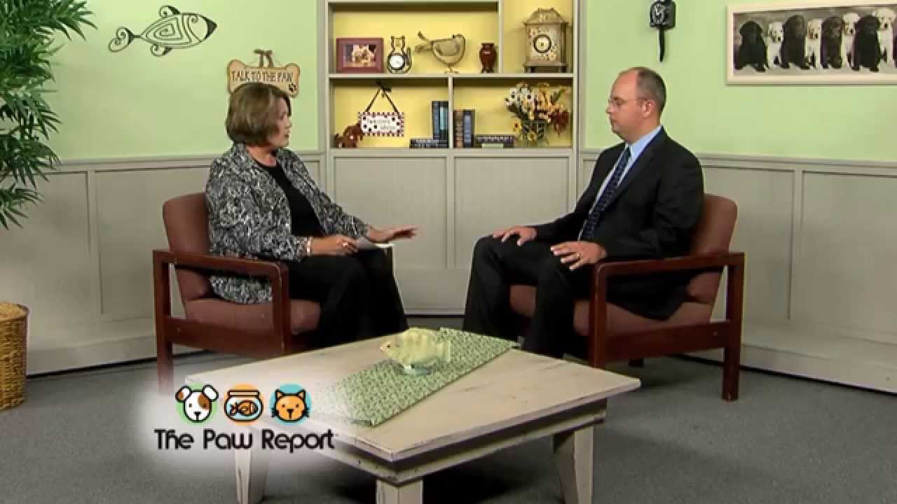 The Paw Report, Episode 413 - Pet Forensics