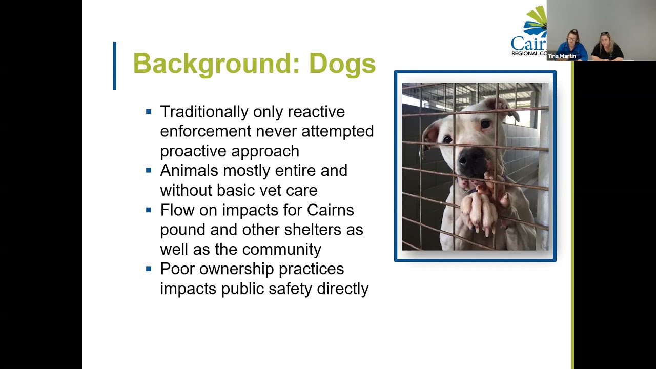 West Cairns Pilot Animal Management Program - webinar