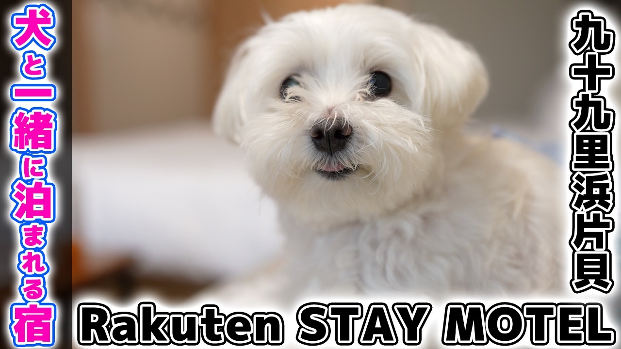 犬と泊まれる宿【関東】『Rakuten STAY MOTEL 九十九里浜片貝』BBQも楽しめるコンパクトなモーテル