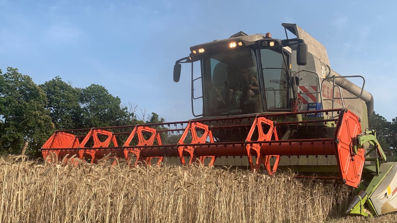 Moisson 2022 | Claas Lexion 540 & 440