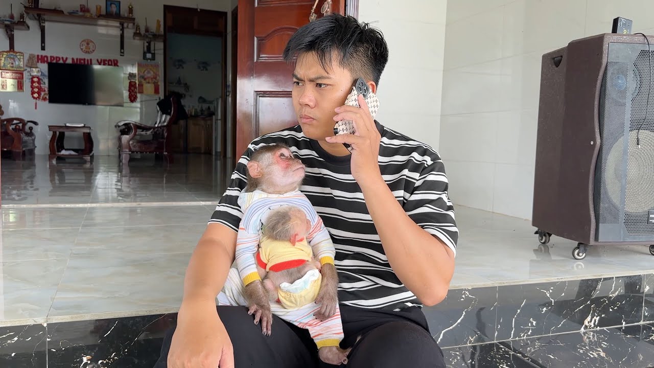 Lovely moments! What did monkey SinSin do to take care of SuBi when Dad was suddenly busy?