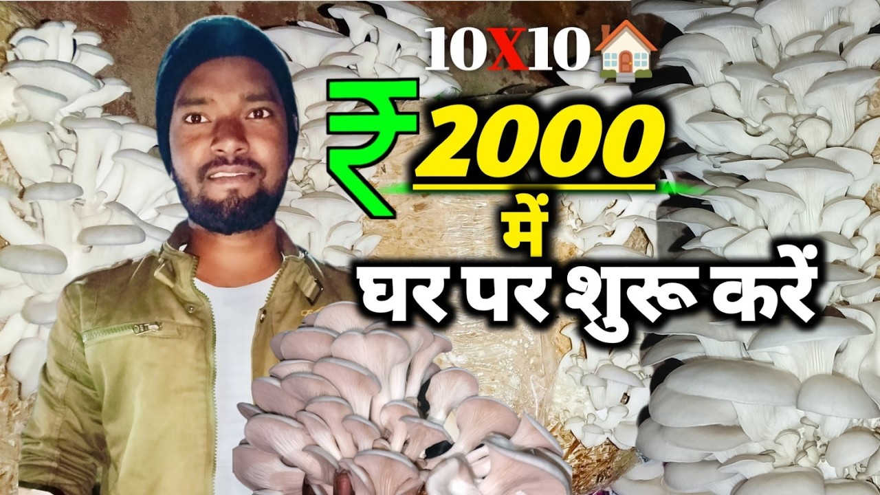 Oyster Mushroom Farming In Jharkhand | Mushroom Farming In Home