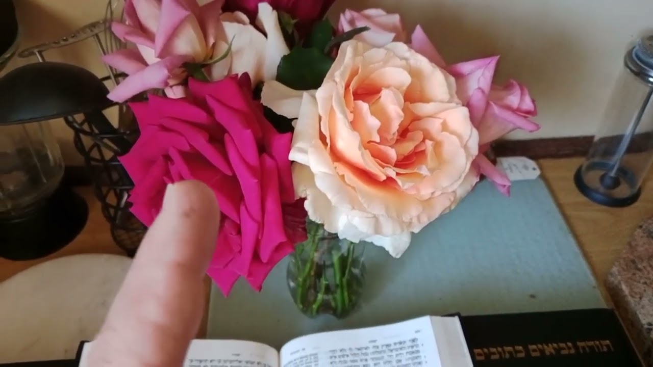 Jesus in the Tenack ❤️