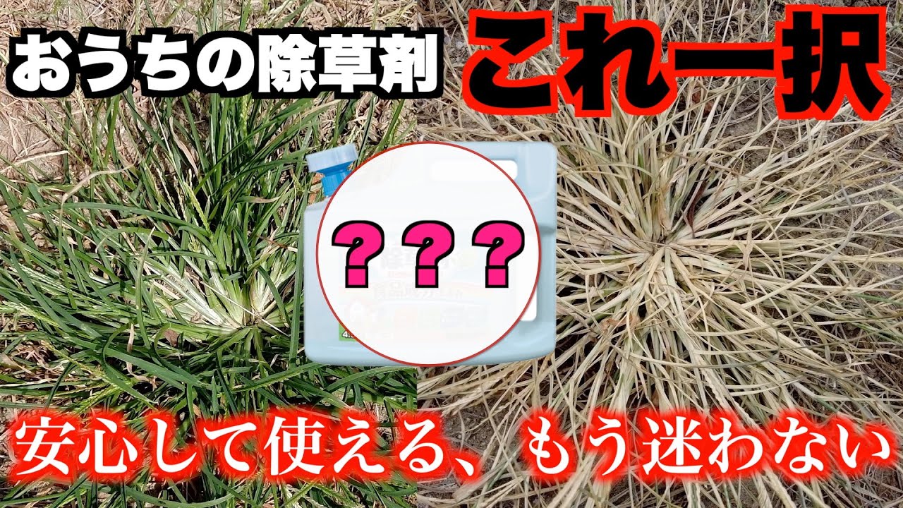 【除草剤入門編】超爆枯れ、超安心成分だから誰でも使いやすい除草剤