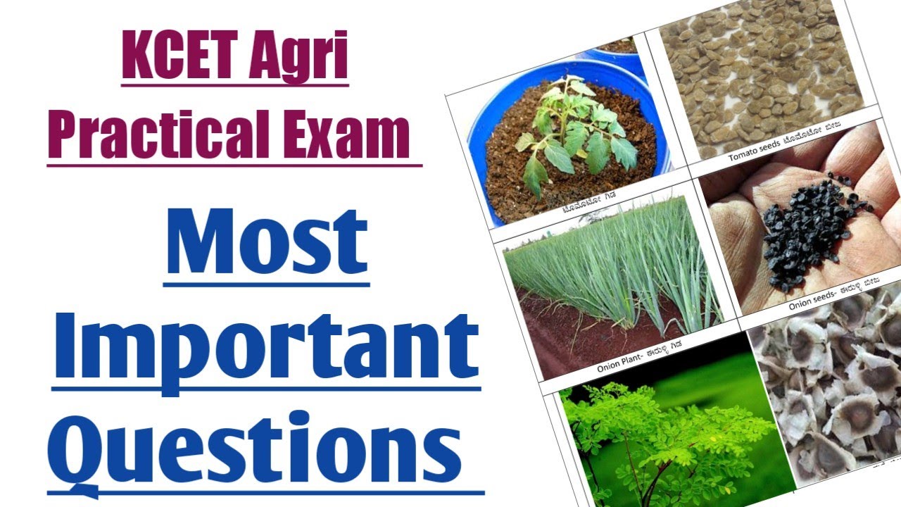 Most Important Questions For Agriculture Practical Exam || My Exam Updates