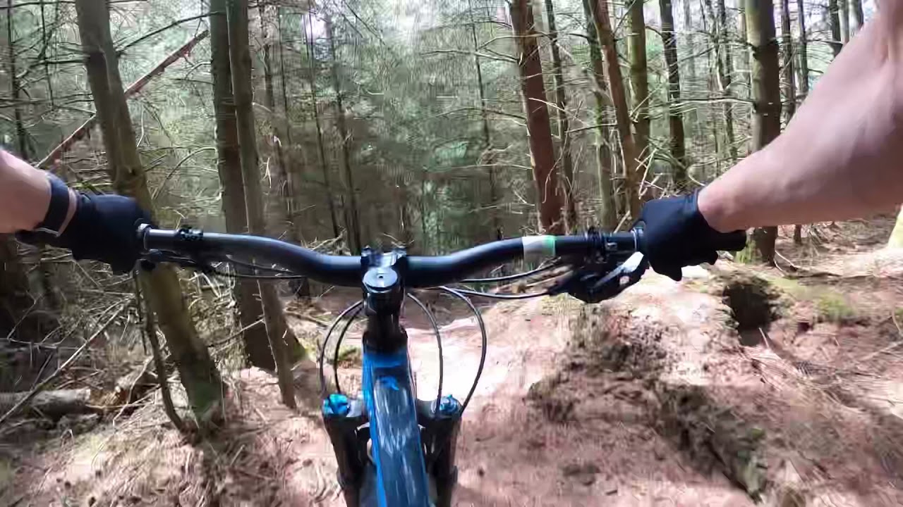 Scotland - Kirroughtree Forest MTB off piste