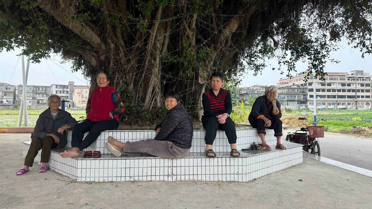 台山百曉：今日分享視頻拍攝地點是台山市冲蒌鎮竹湖鄉沙坦村，這位尋根人的祖先離開沙坦村已經超過一個世紀，根據其墓碑信息鎖定目標村落，原來沙坦村又叫平安村！#台山 #taishan #taishanese