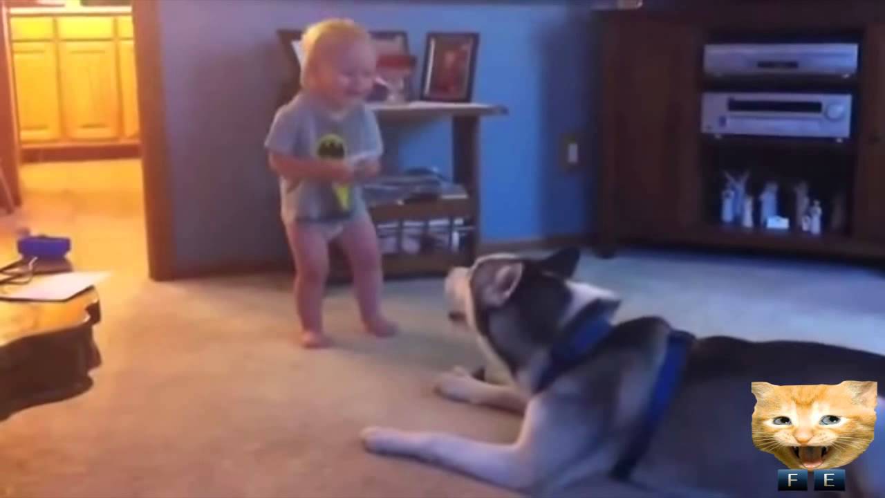 Epic Fails and Funny video Compilation May 2014!!
