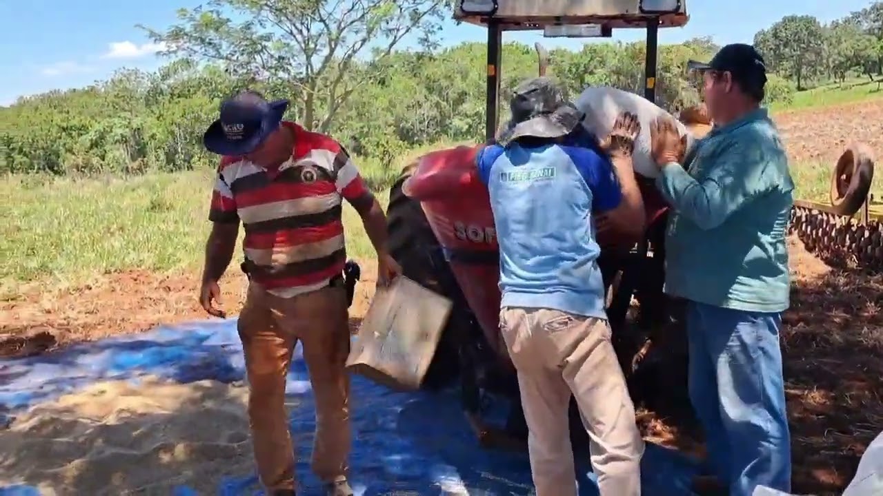 A união faz a força  / ajudando os amigos em uma força tarefa