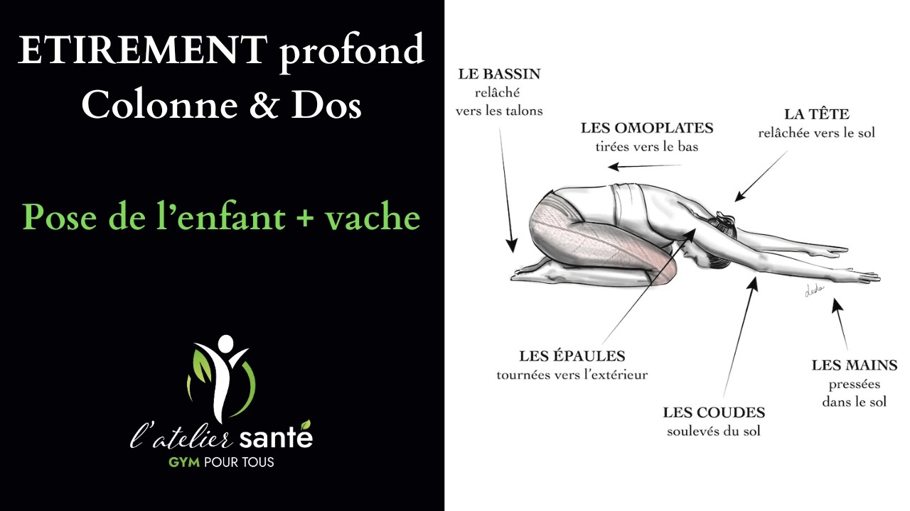ETIRER en PROFONDEUR sa COLONNE vertébrale - La pose de l’enfant bras tendus + pose de la vache