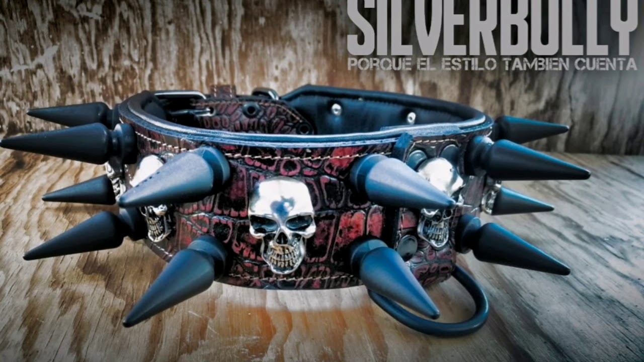 Collares de cuero para mascotas