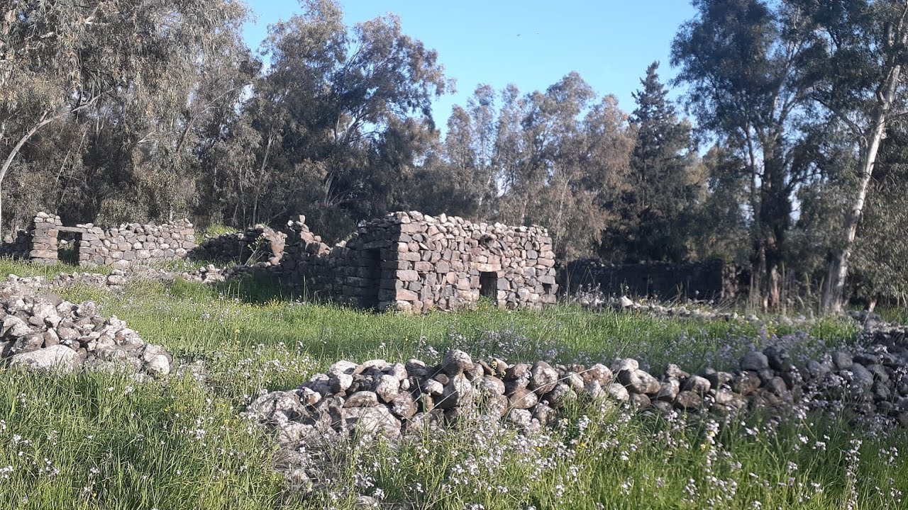 قرية الاحمدية الجولان المحتل