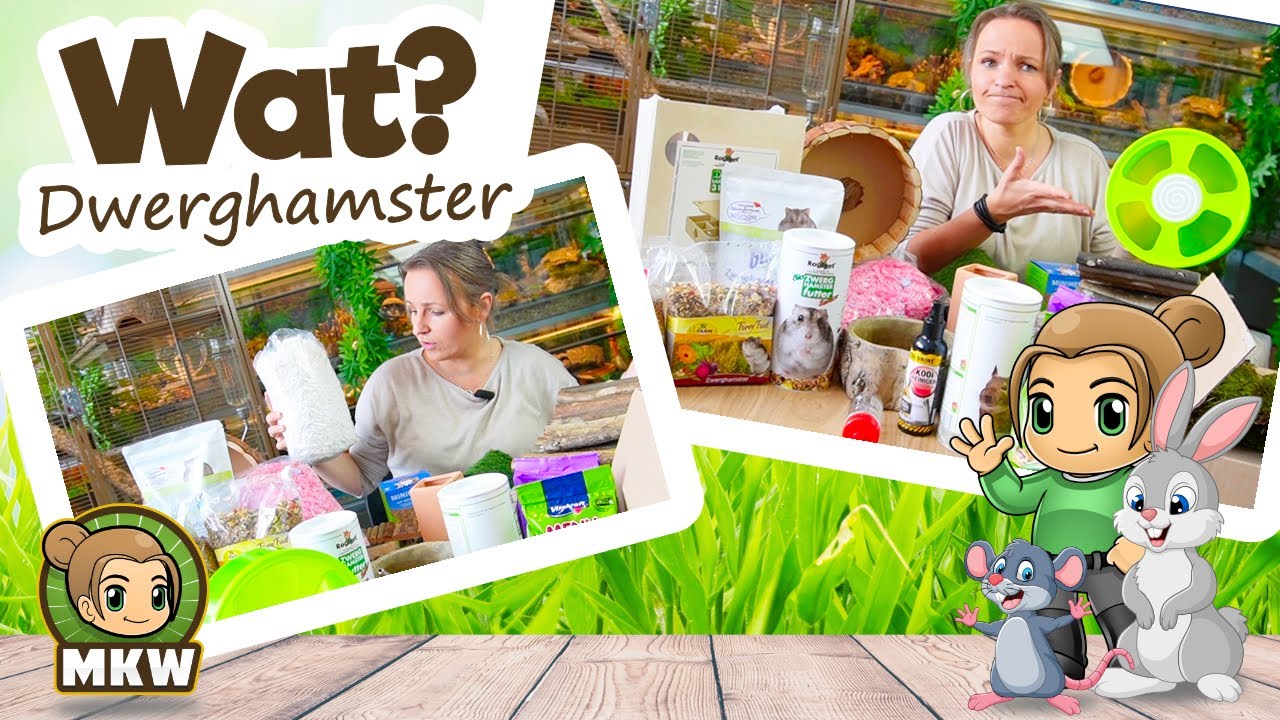 Wat heb je nodig voor een dwerghamster? 🐹 Marika's Knaagdierwereld