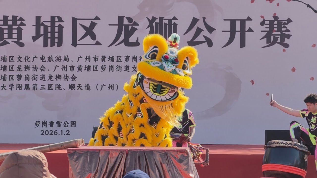 广州萝岗香雪公园的龙狮公开赛 