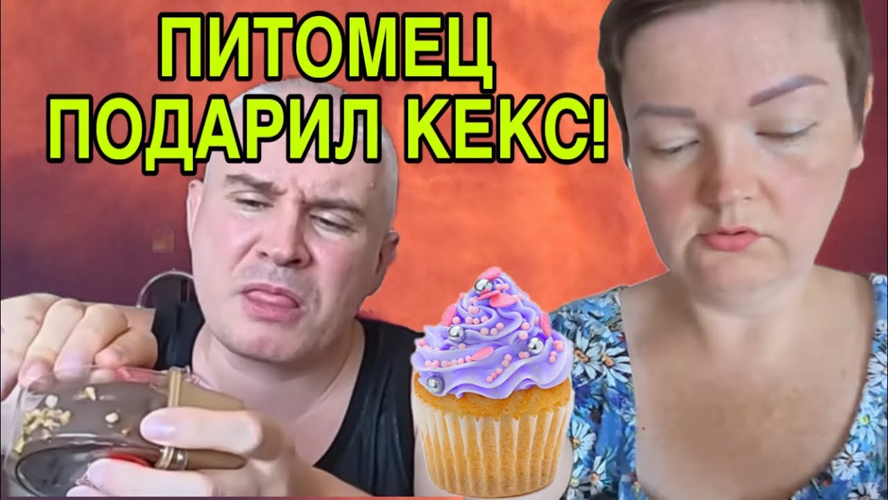 ФУФЕЛ КЕКС ПОДАРИЛ! ПИРАТСКАЯ ЖИЗНЬ. ОБЗОР. 