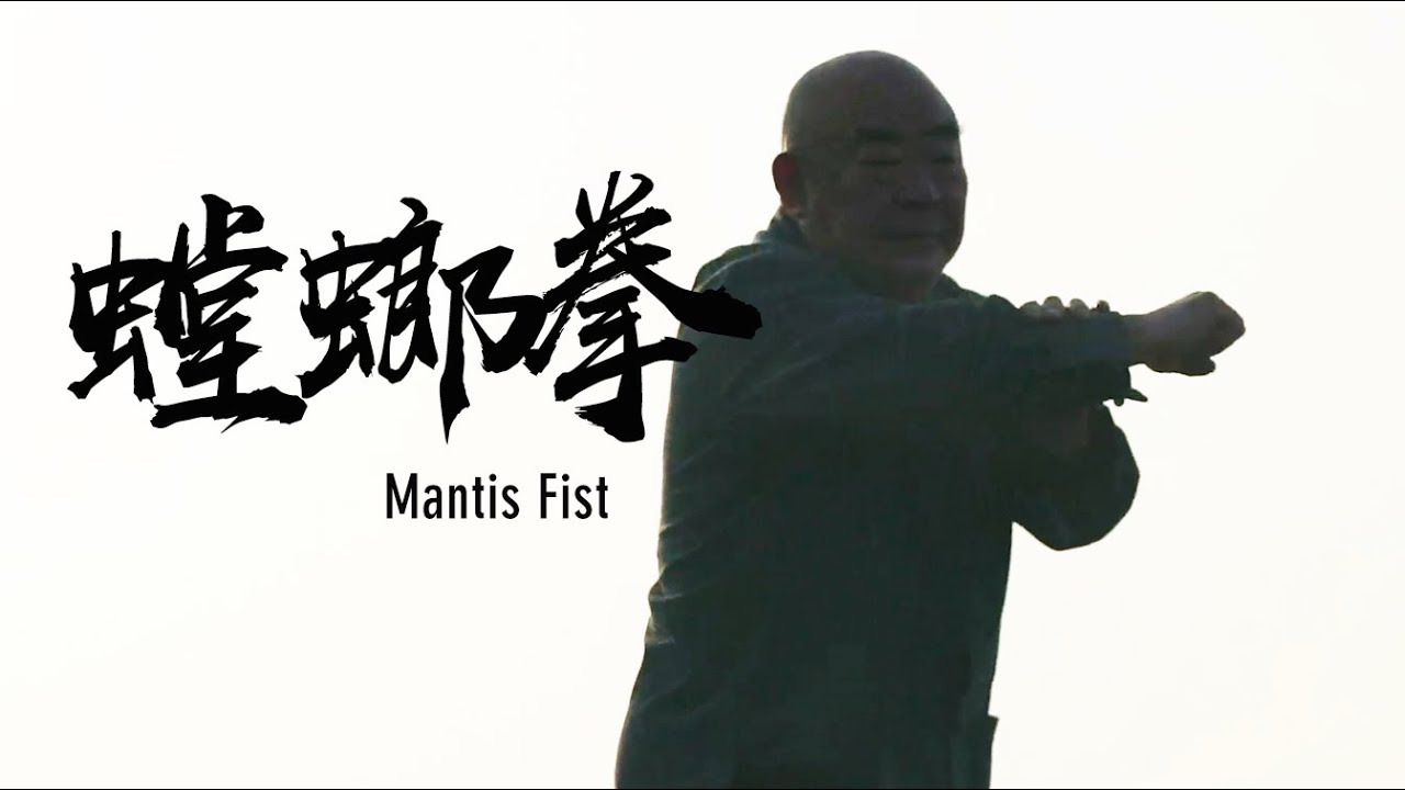 Mantis Fist | 螳螂拳：习武树人 勇往直前