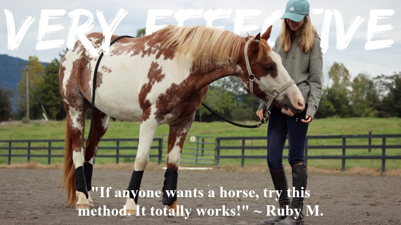 How to Convince Your Parents to BUY You a HORSE! | Very Effective Method