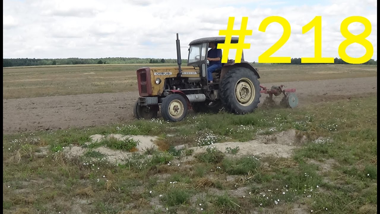 218# Życie zwyczajnego rolnika - Podorywka po rumianku Ursusem C-360-3P