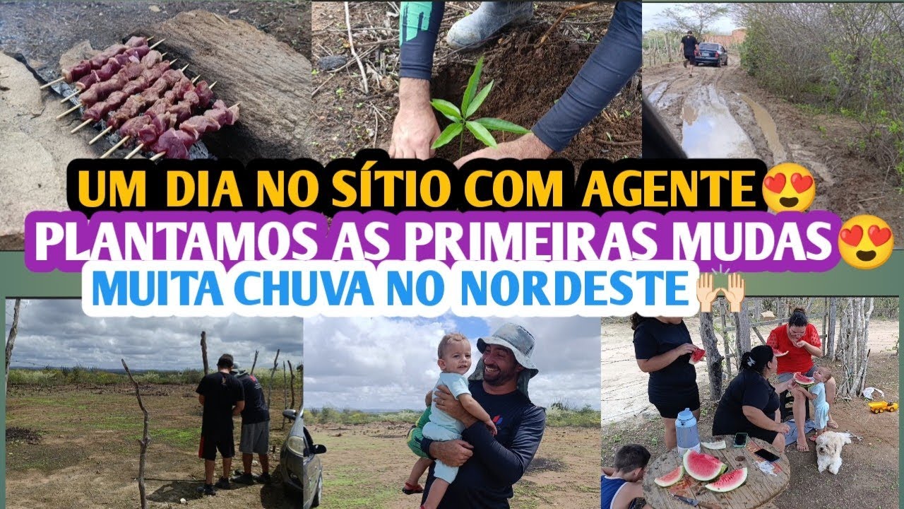 UM DIA NO SÍTIO|PLANTAMOS AS PRIMEIRAS MUDAS|MUITA CHUVA 🙌🏻. #sitio #familia #youtube #construção 