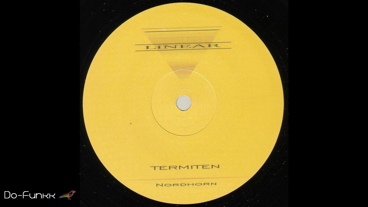 Termiten aka Ricardo Villalobos - Why Did I Love My Wife