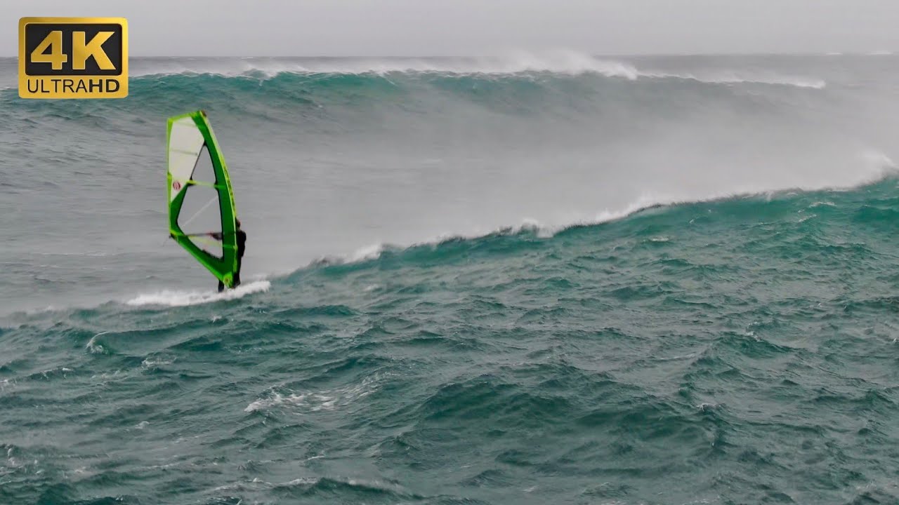 CORE LORD SHREDS SHARK ISLAND