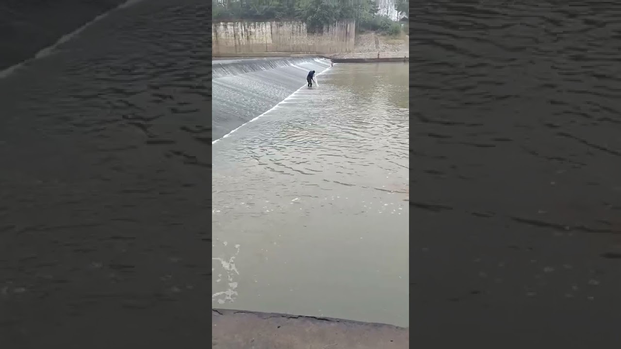 Amazing Big Cast Net Fishing   Traditional Net Catch Fishing in The River 86