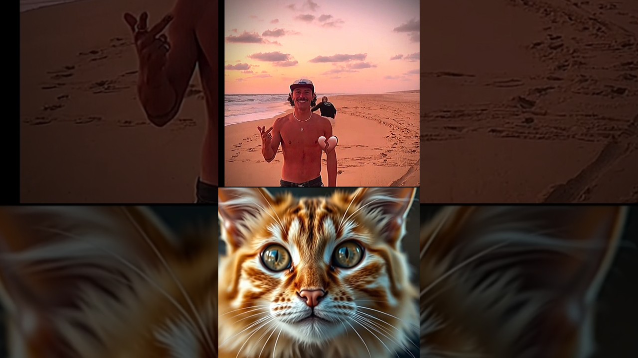 boys power 💪#cat #memes #funk #hype