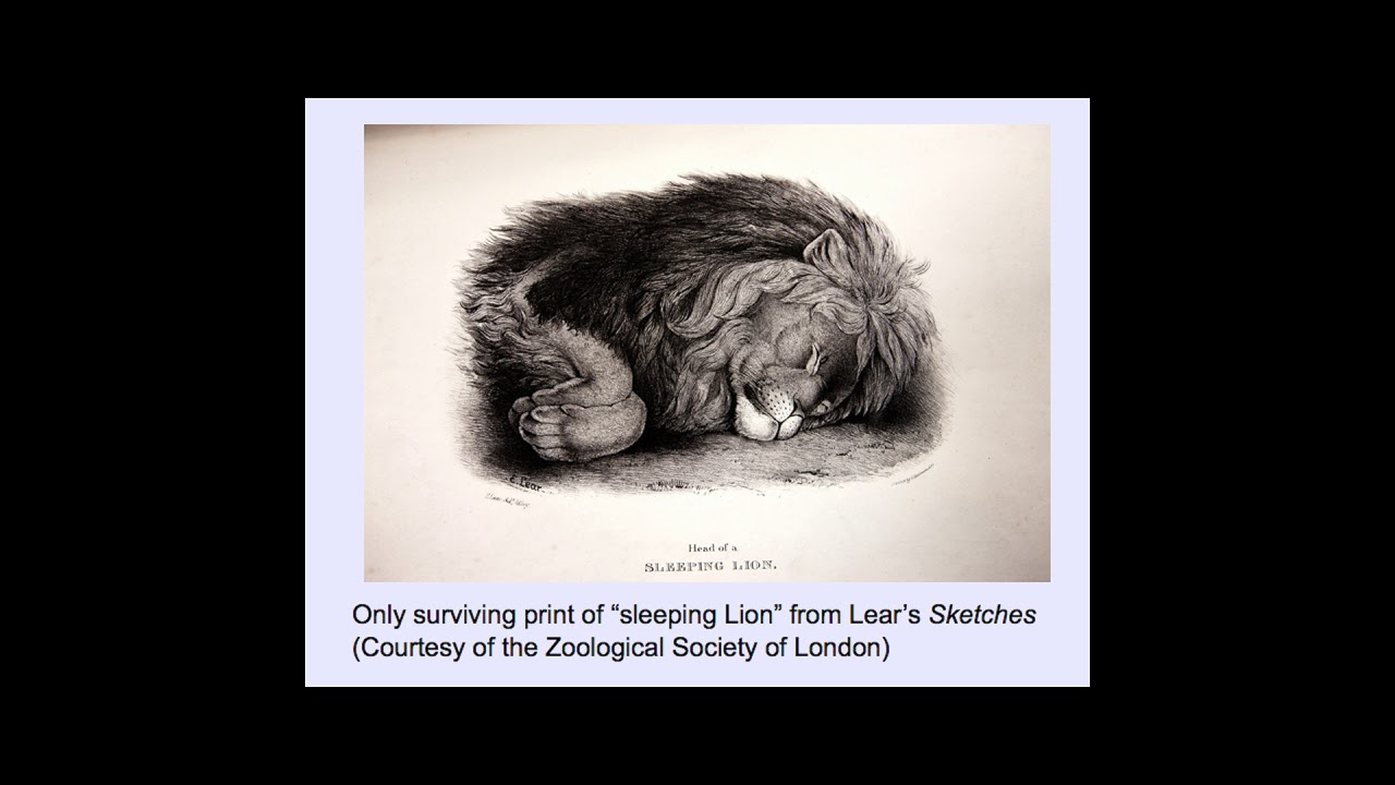 The Natural History of Edward Lear