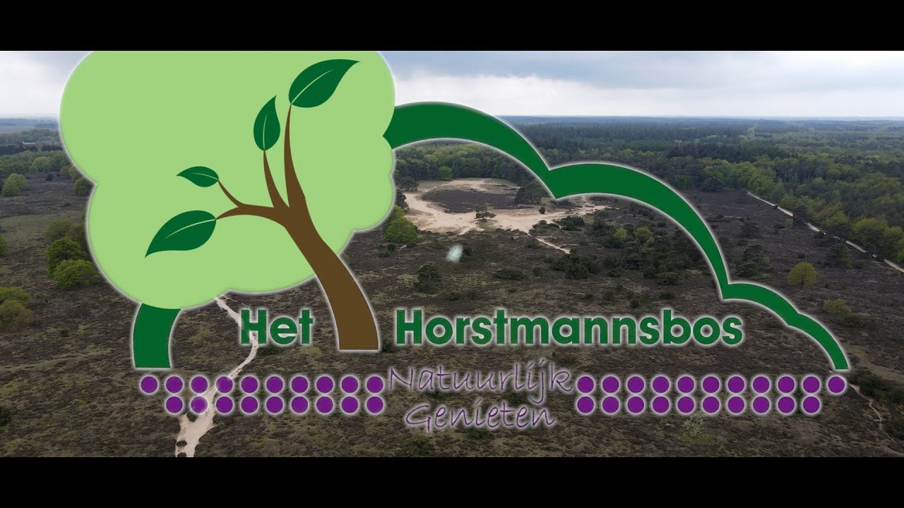 Camping Het Horstmannsbos, Gasselte