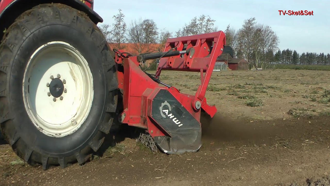 Produktion af juletræer