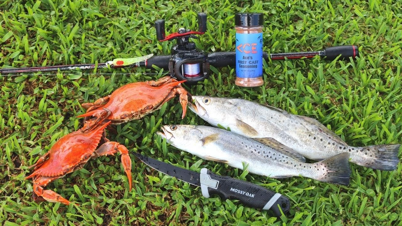 Saltwater Fishing n' Crabbing - Ace Videos Compilation