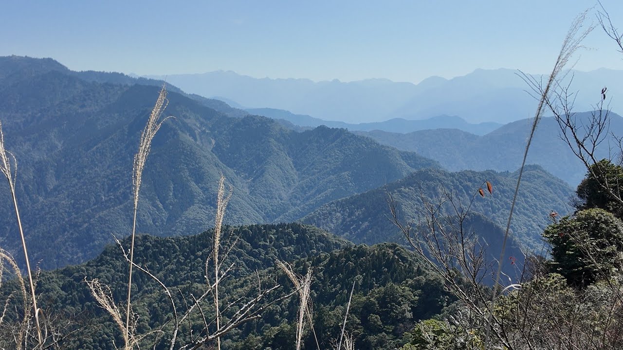 2026.02 苗栗 #加里山 #大坪林道