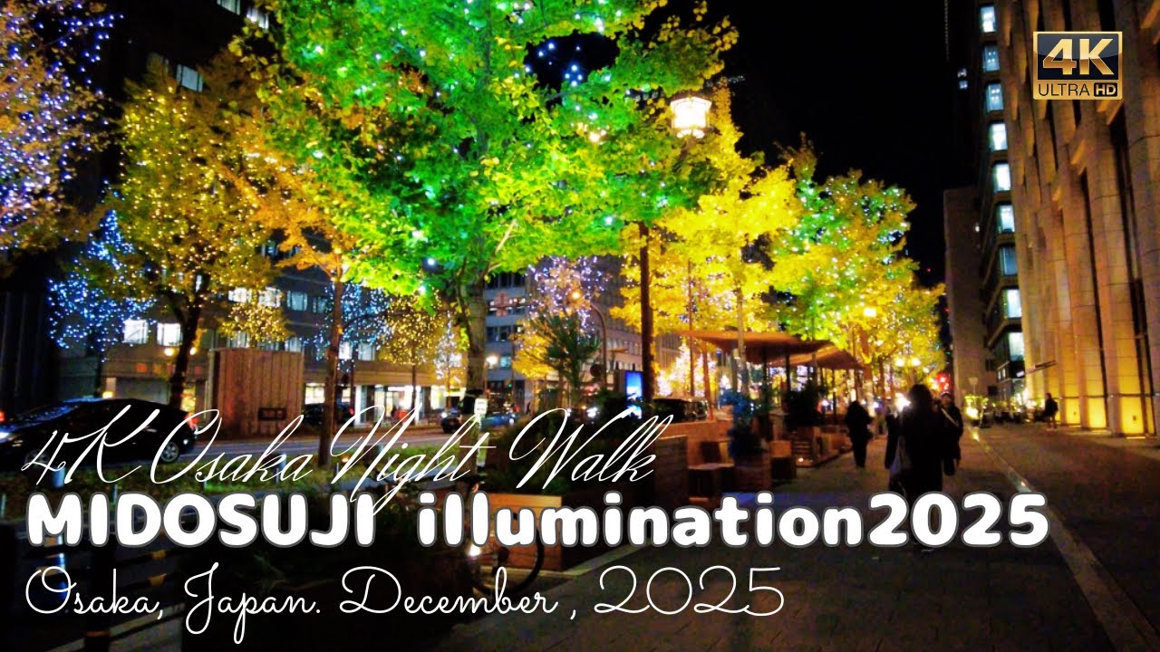 Winter Illumination in Osaka 2025: Midosuji Night Walk [4K] (Honmachi - Yodoyabashi, Osaka, Japan)