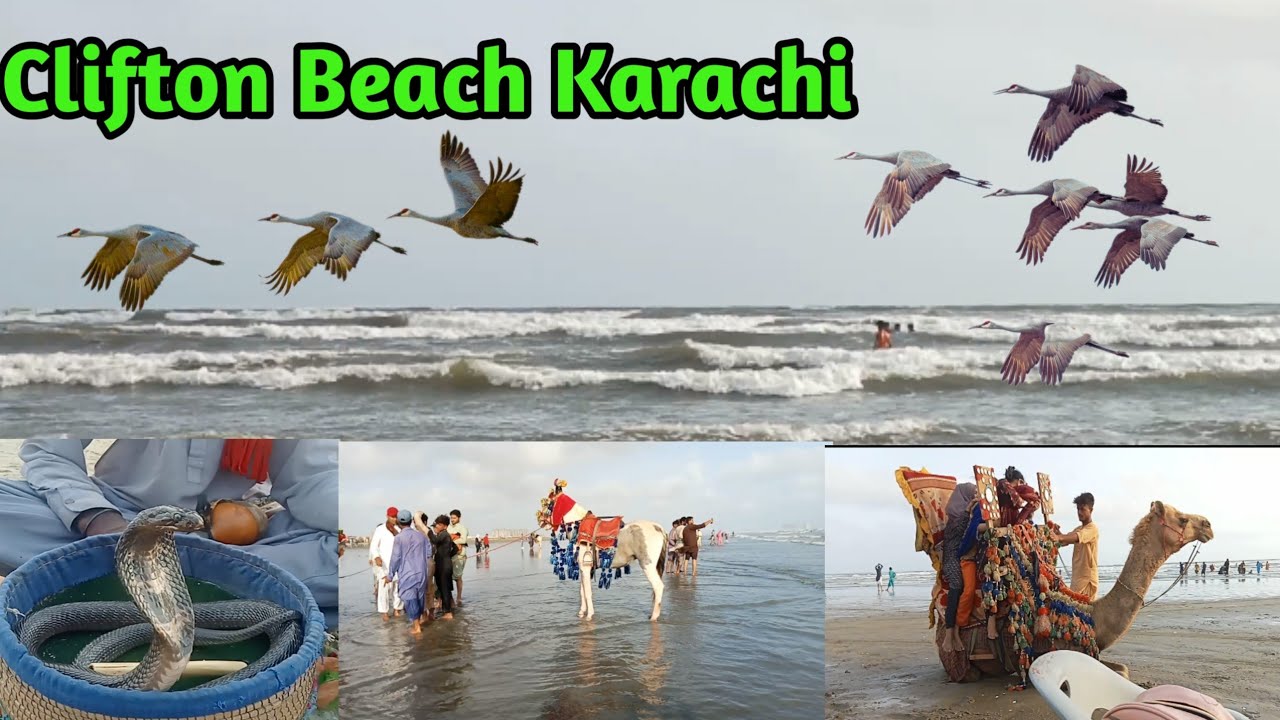 Clifton Beach Karachi | Sea View Beach Karachi | Best and famous beach in Karachi