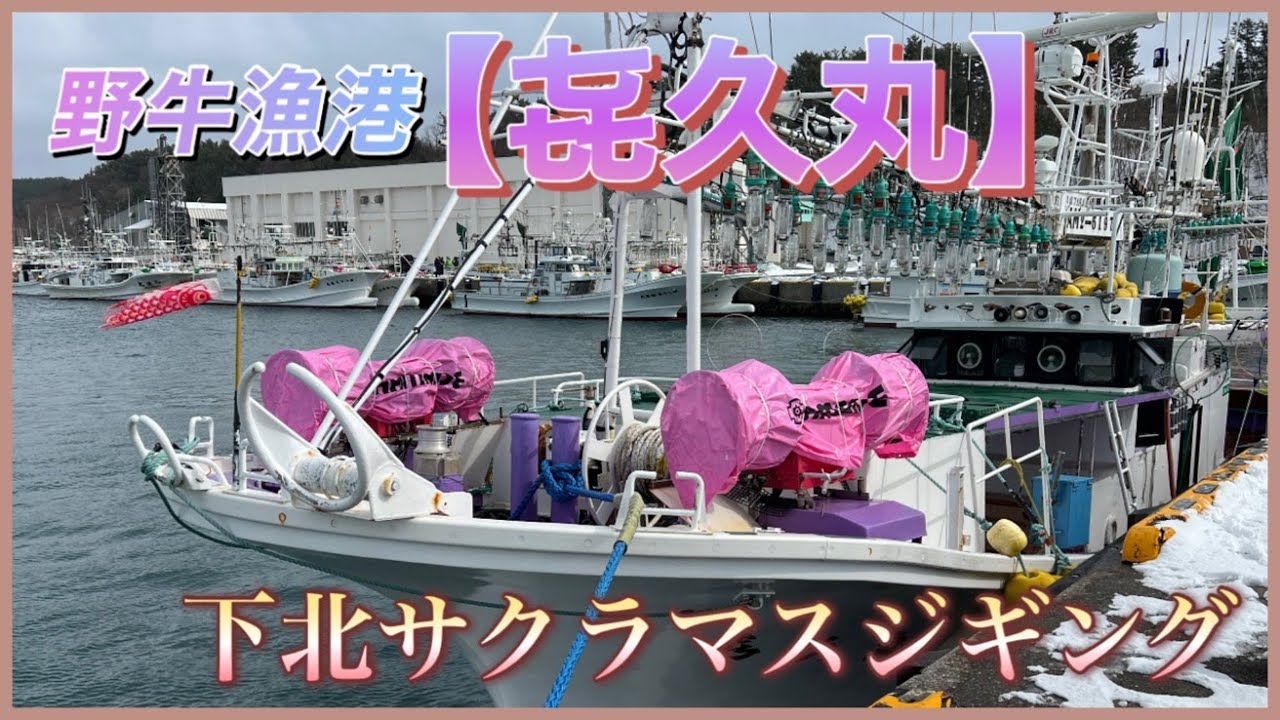 下北サクラマスジギング2戦目！稀にない⁉X-day‼