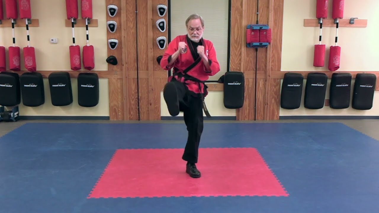 Front Snap Kick & Double Palmheel Strike combo