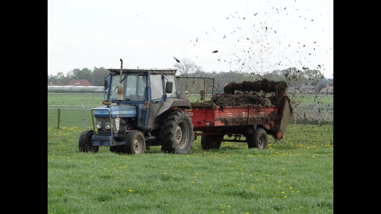 Mest verspreiden/spreading manure/Ford/Doornspijk/The netherlands/2014/
