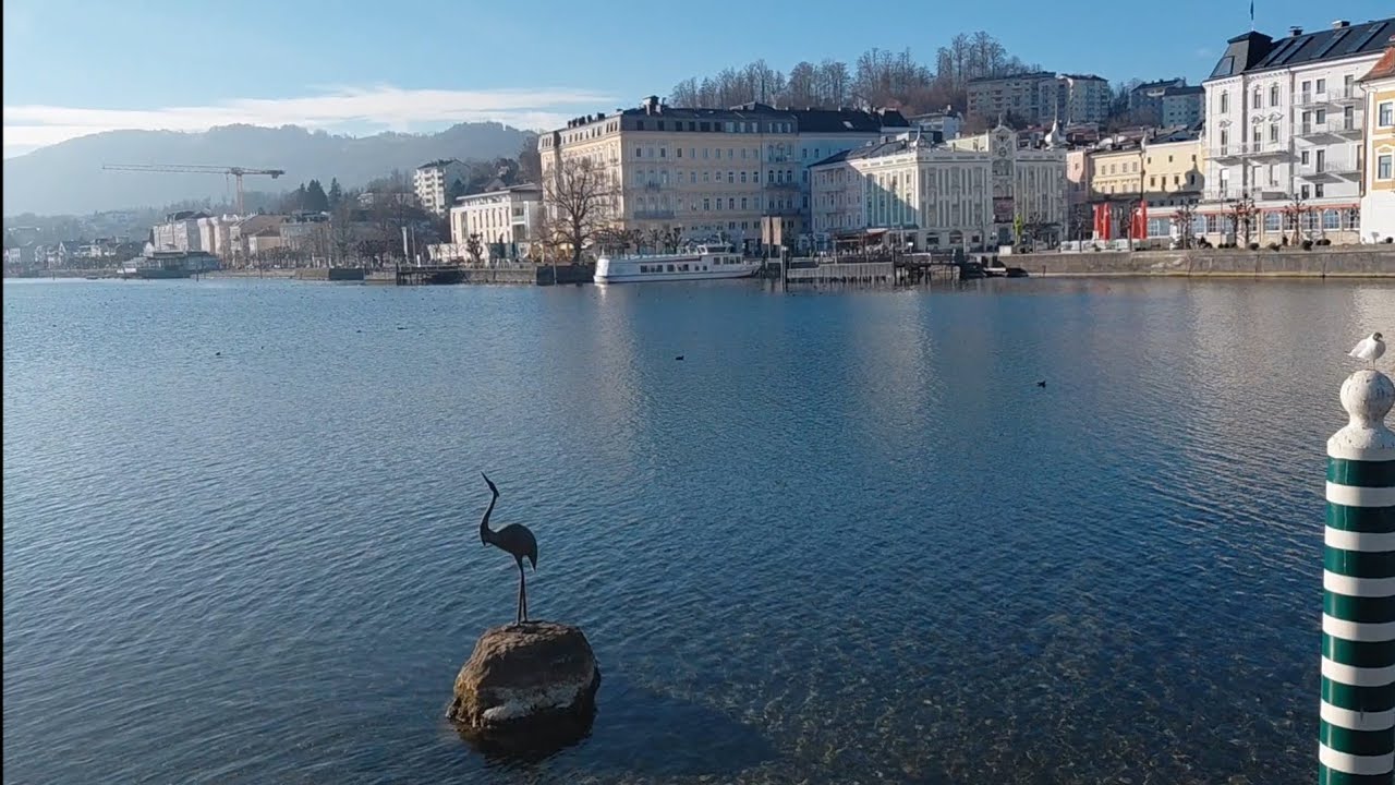 قدم زدن، آشپزی و آرامش کنار دریاچه  🌊🍃