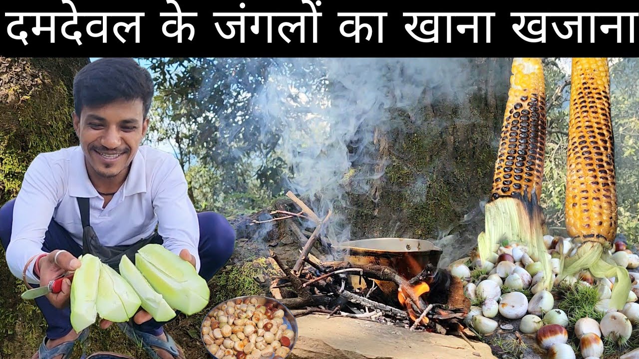 दमदेवल के घने जंगलों का खाना खजाना  | Pahadi lifestyle Vlog