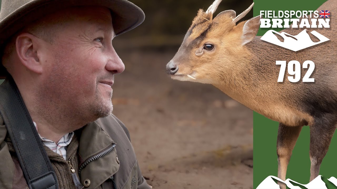 Fieldsports Britain – беспредел в Мунтжаке