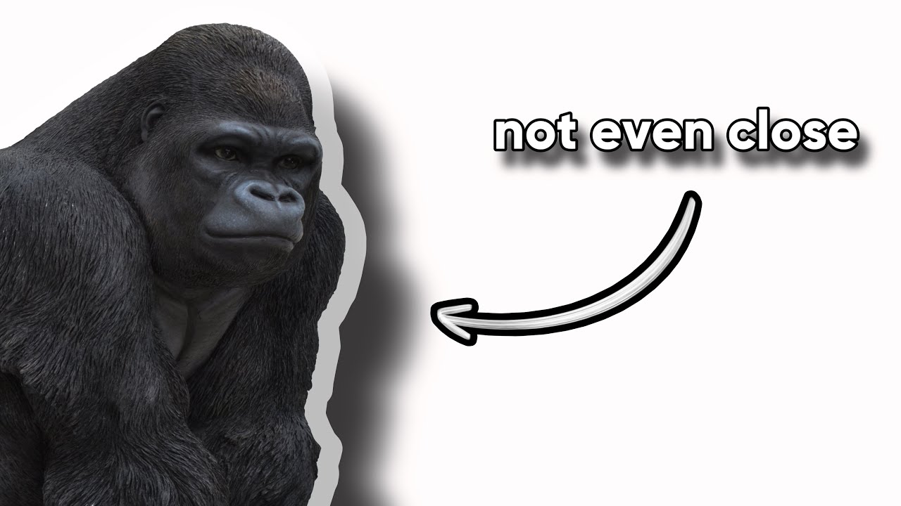 why 100 men vs a gorilla isn't close