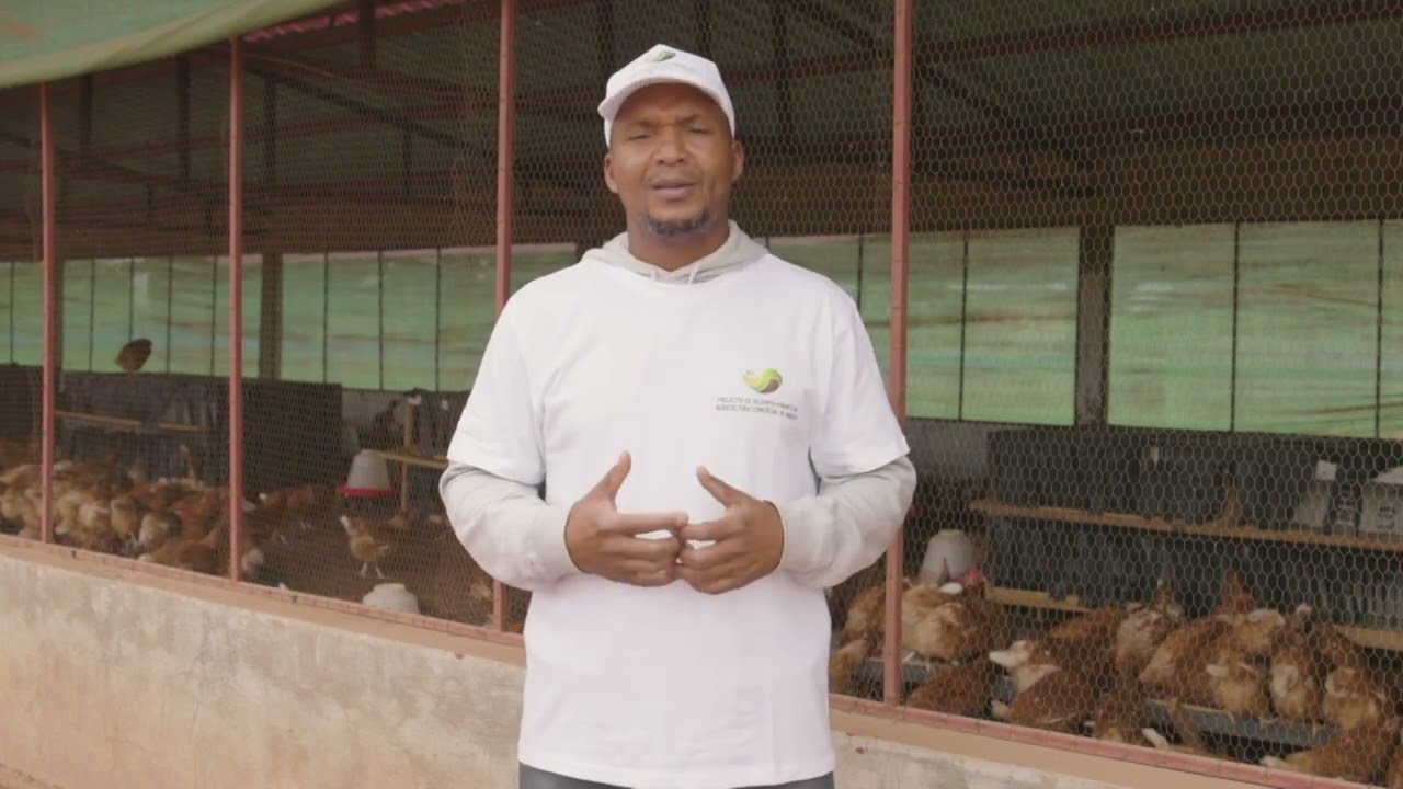 Janela Principal - Fazenda Satxicungo, Malanje