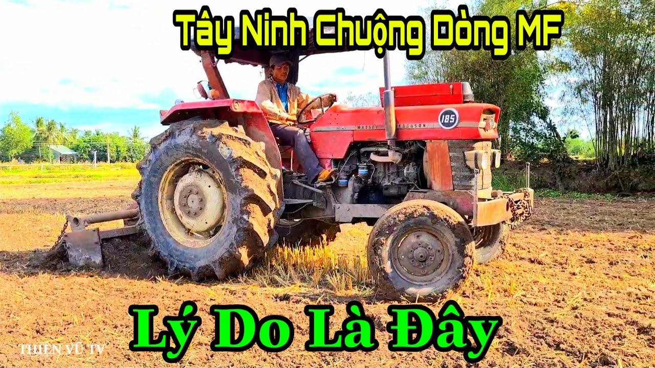 Máy Cày MF 185 Xới Đất Ruộng Dẻo,Anh Tài Xế Chịu Chơi Đạp Toàn Ga Lớn, Máy Cày Tây Ninh