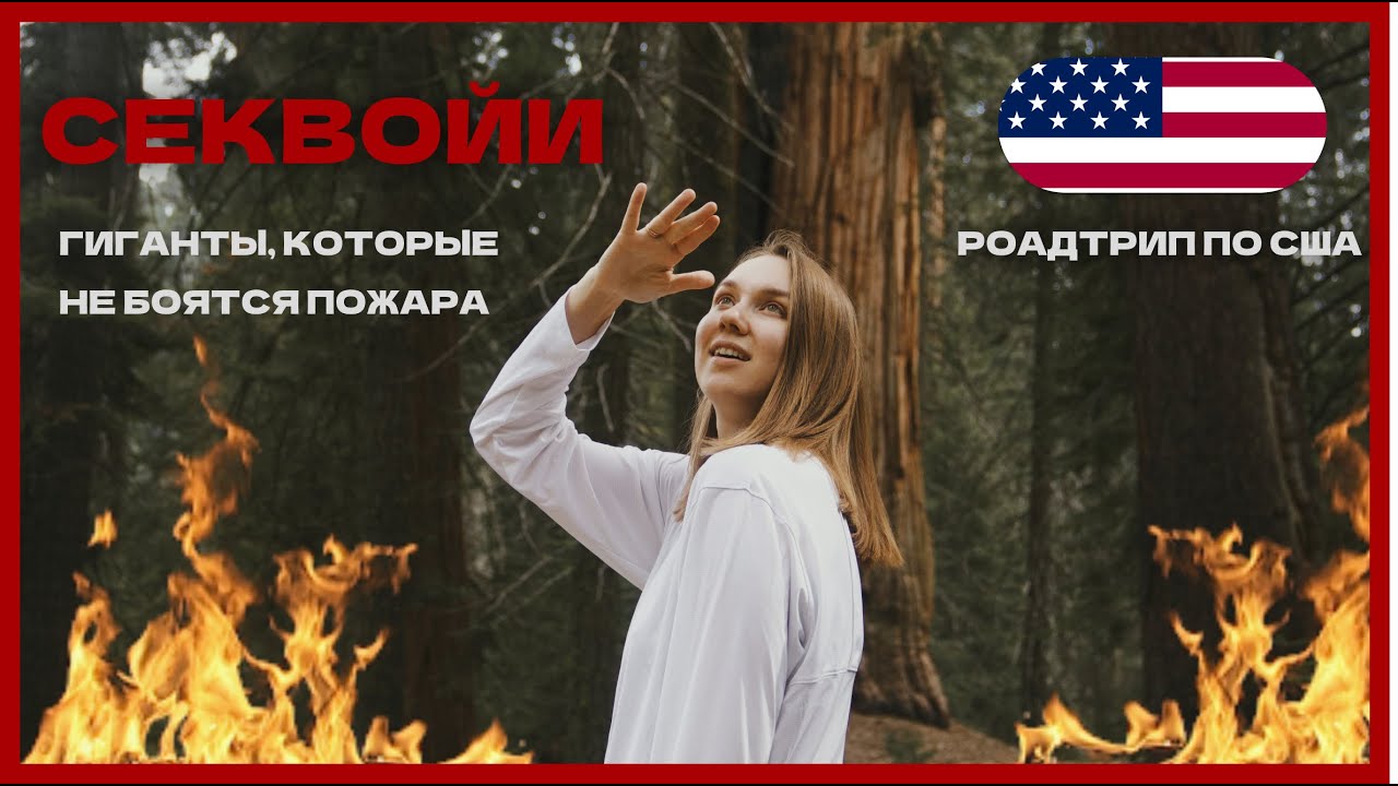 НАЦИОНАЛЬНЫЙ ПАРК СЕКВОЙЯ -  РОАДТРИП ПО США
