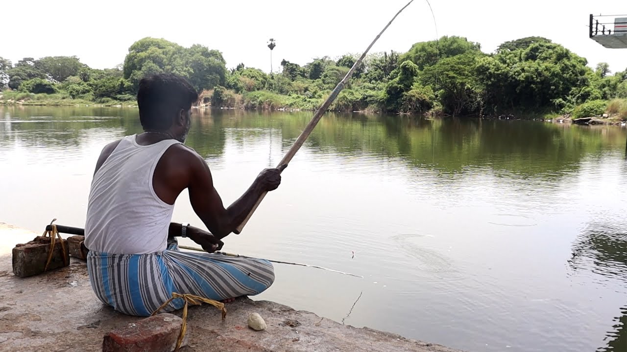 Fishing under in Railway bridge catching Mullet Fish