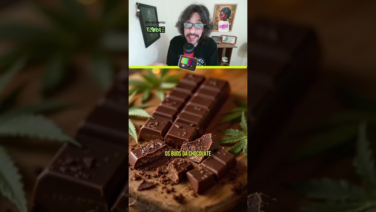 Uma PLANTA com gosto de CHOCOLATE? &Eacute; a strain Chocolope, ou D-Line, se liga!
