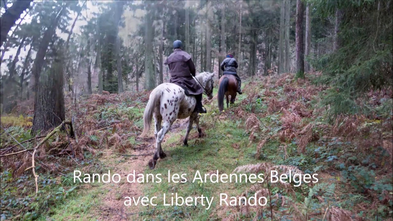 Week end à cheval dans les Ardennes belges avec Liberty Rando - Novembre 2017