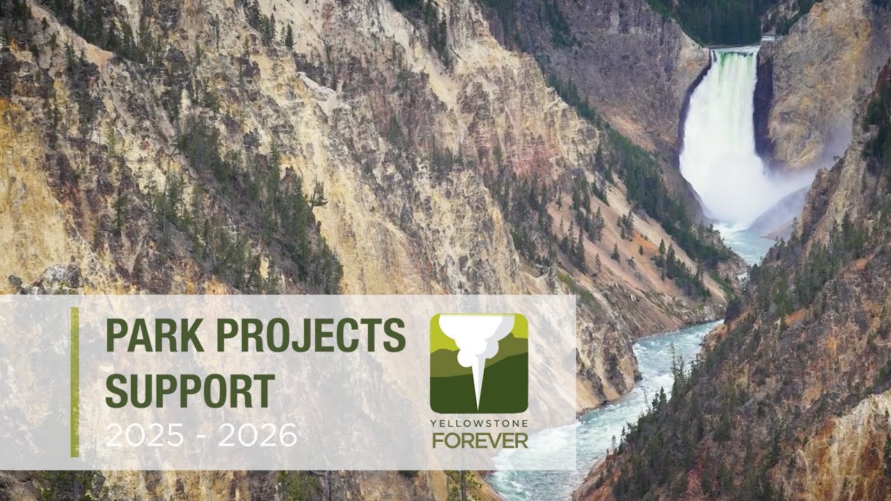 Yellowstone Forever Park Projects Support 2025-2026