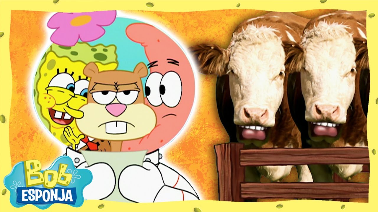 O grande Rodeio No Texas! | Bob Esponja em Português